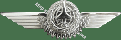 Нагрудный Знак 'Наблюдатель 2 класса' Нагрудный Знак 'Наблюдатель 2 класса'