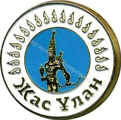 Нагрудный Знак 'Молодежная организация' Нагрудный Знак 'Молодежная организация'