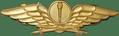 Нагрудный Знак 'Разведка' Нагрудный Знак 'Разведка'