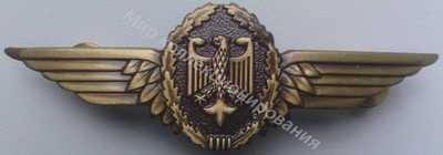 Нагрудный Знак 'Пилот 3 класса' Нагрудный Знак 'Пилот 3 класса'
