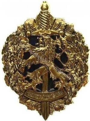 Нагрудный Знак 'Генеральный штаб, золотистый' Нагрудный Знак 'Генеральный штаб, золотистый'