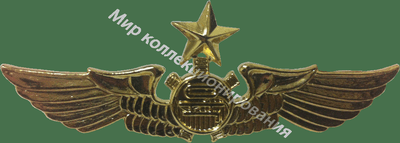Нагрудный Знак 'Старший механик' Нагрудный Знак 'Старший механик'