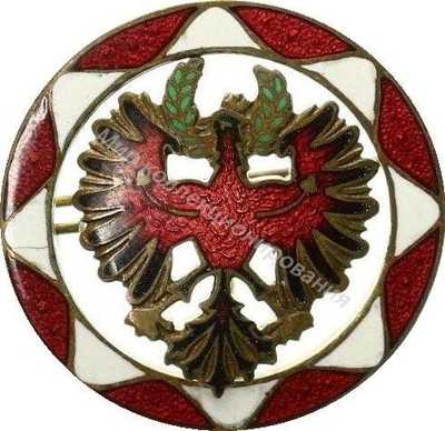 Нагрудный Знак 'Тироль, патриотика' Нагрудный Знак 'Тироль, патриотика'