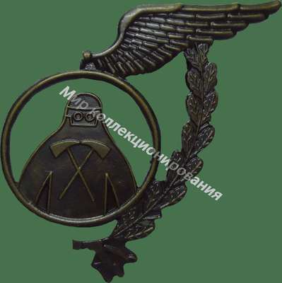 Нагрудный Знак 'Пожарный, кадет' Нагрудный Знак 'Пожарный, кадет'