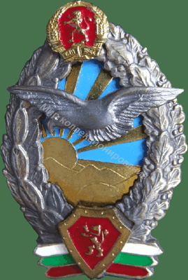 Нагрудный Знак 'Пилот без класса' Нагрудный Знак 'Пилот без класса'