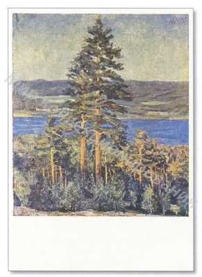 Открытка Сосны Открытка Сосны