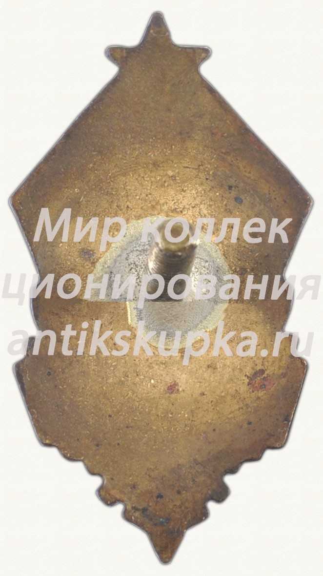 Членский знак добровольного общества содействия авиации (ДОСАВ) Членский знак добровольного общества содействия авиации (ДОСАВ)