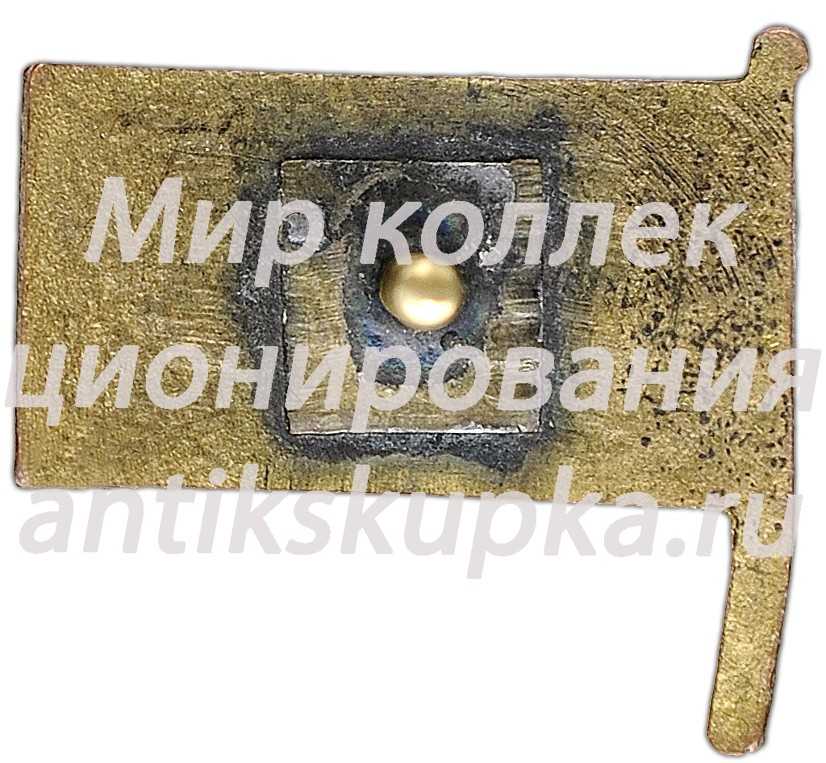 Членский знак Грузинского общества друзей воздушного флота Членский знак Грузинского общества друзей воздушного флота