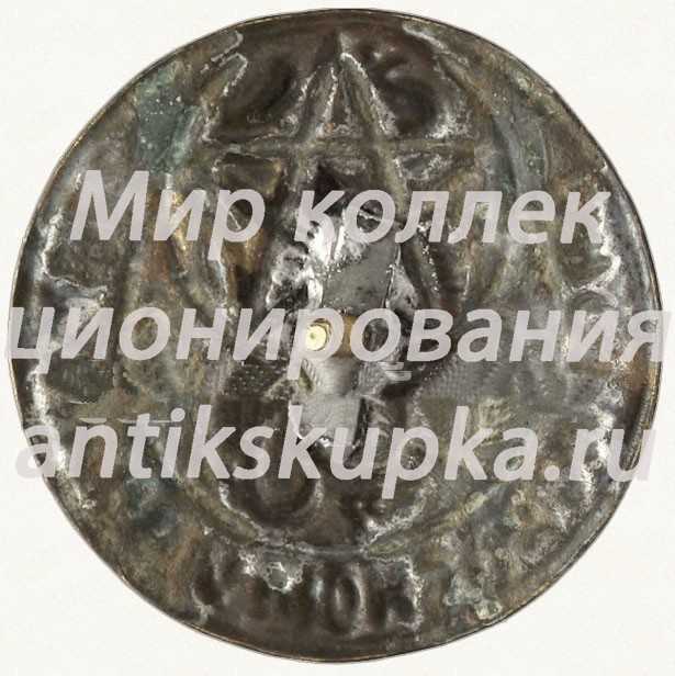 Наградной знак «Красному воину». Бухарская Народная Советская Республика Наградной знак «Красному воину». Бухарская Народная Советская Республика