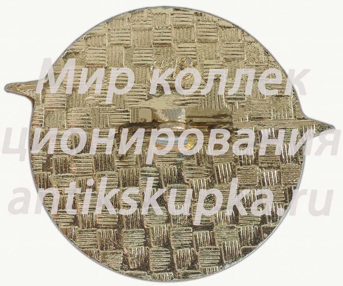 Знак «Аэрофлот. Сверхзвуковой пассажирский самолет «Ту-144». Тип 2» Знак «Аэрофлот. Сверхзвуковой пассажирский самолет «Ту-144». Тип 2»