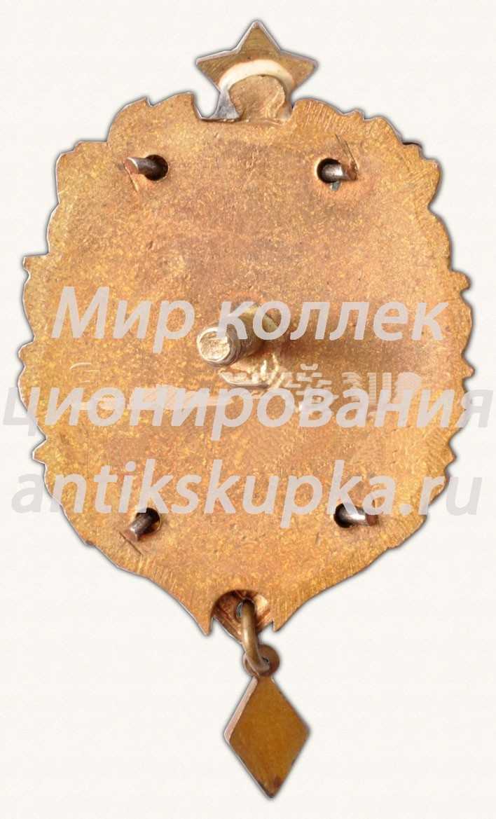 Знак чемпиона первенства вооруженных сил. Прыжки в воду. 1967 Знак чемпиона первенства вооруженных сил. Прыжки в воду. 1967