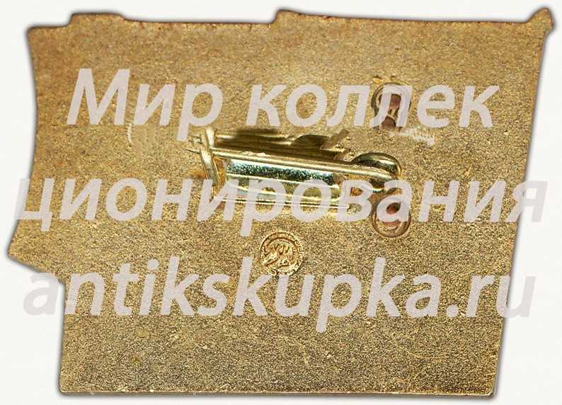 Знак делегата XXIII съезда ЛКСМУ Украинская ССР Знак делегата XXIII съезда ЛКСМУ Украинская ССР