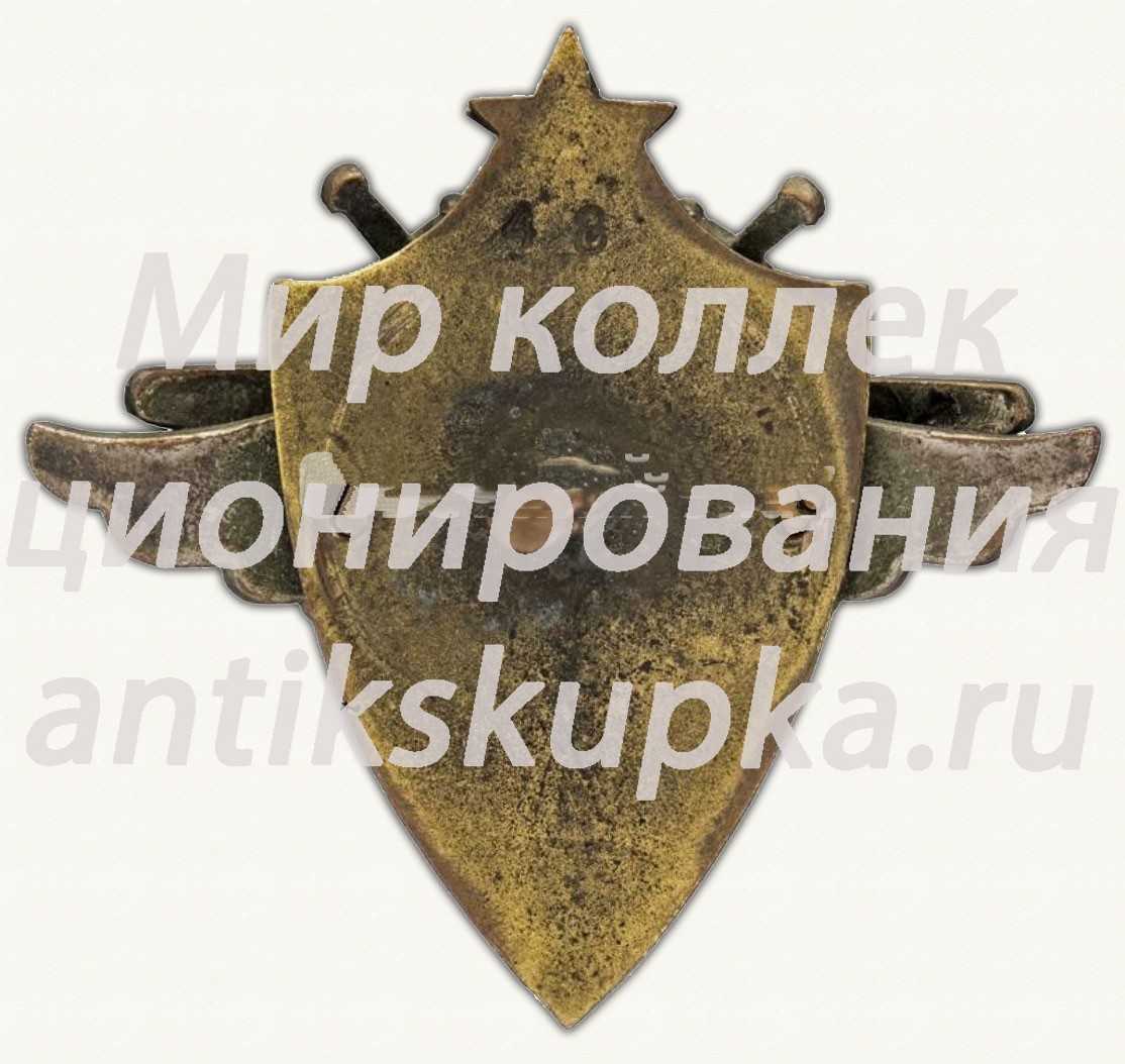 Знак для летчиков, окончивших школу пилотов Знак для летчиков, окончивших школу пилотов