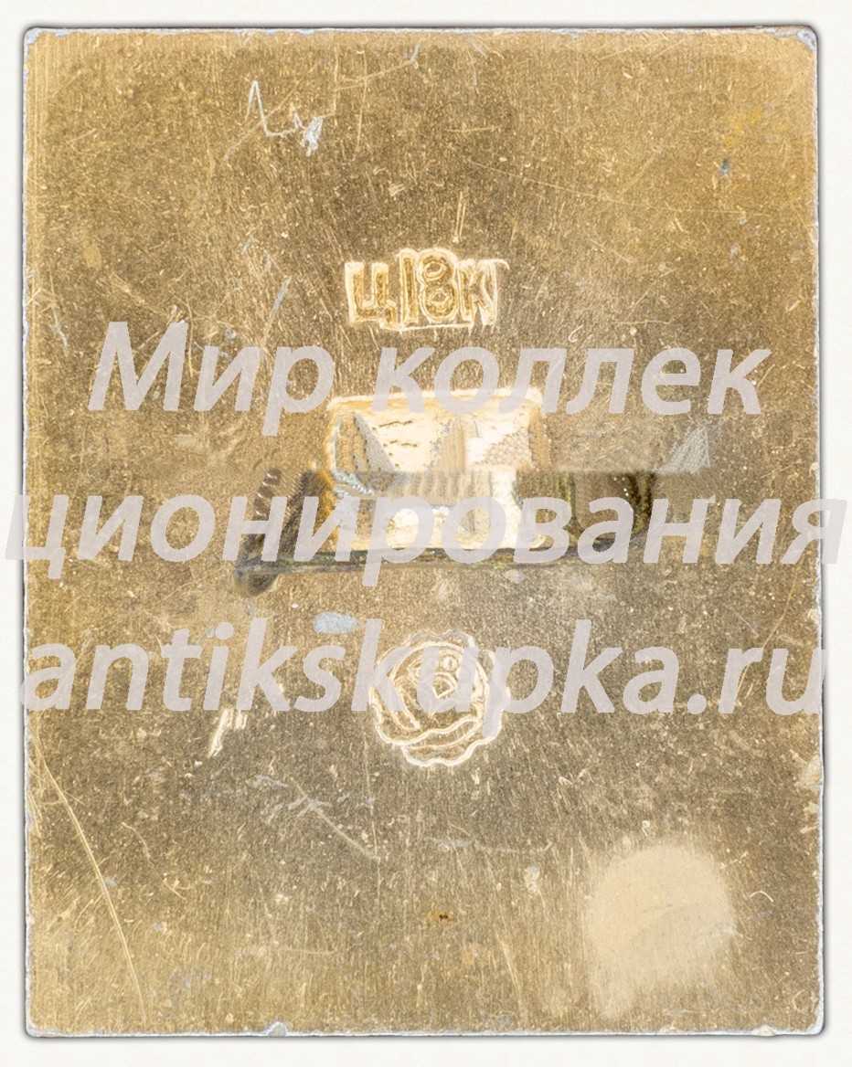 Знак «Георгиевская лента. Орден Отечественной войны» Знак «Георгиевская лента. Орден Отечественной войны»