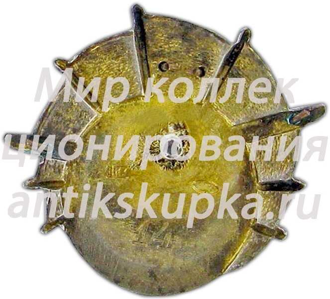 Знак «ГВФ. За налет 500 тыс. км» 5 Знак «ГВФ. За налет 500 тыс. км» 5