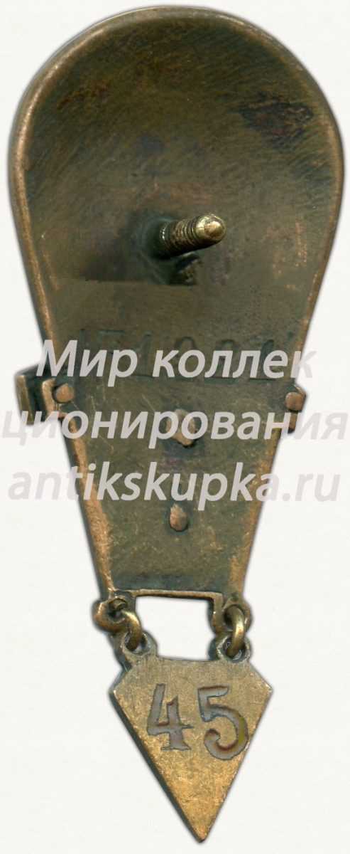 Знак «Инструктор парашютного спорта II категории. Для парашютистов» 2 Знак «Инструктор парашютного спорта II категории. Для парашютистов» 2