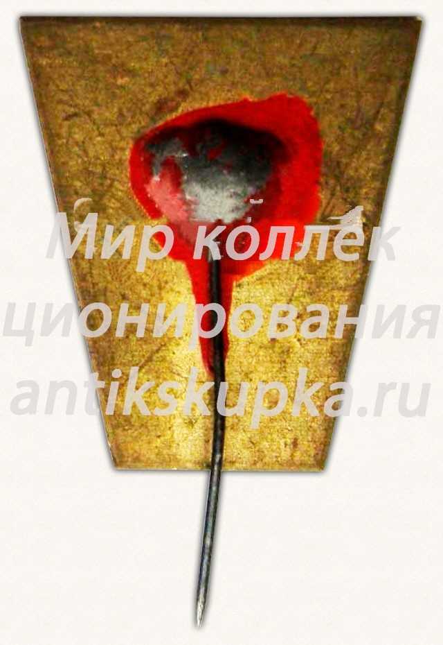 Знак «Юный Тимуровец УРСР» Знак «Юный Тимуровец УРСР»