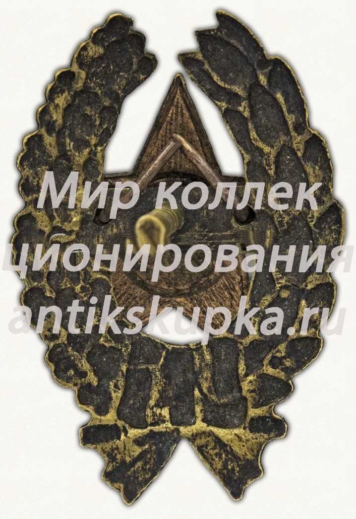 Знак командира Рабоче-крестьянской Красной Армии. Тип 12 Знак командира Рабоче-крестьянской Красной Армии. Тип 12