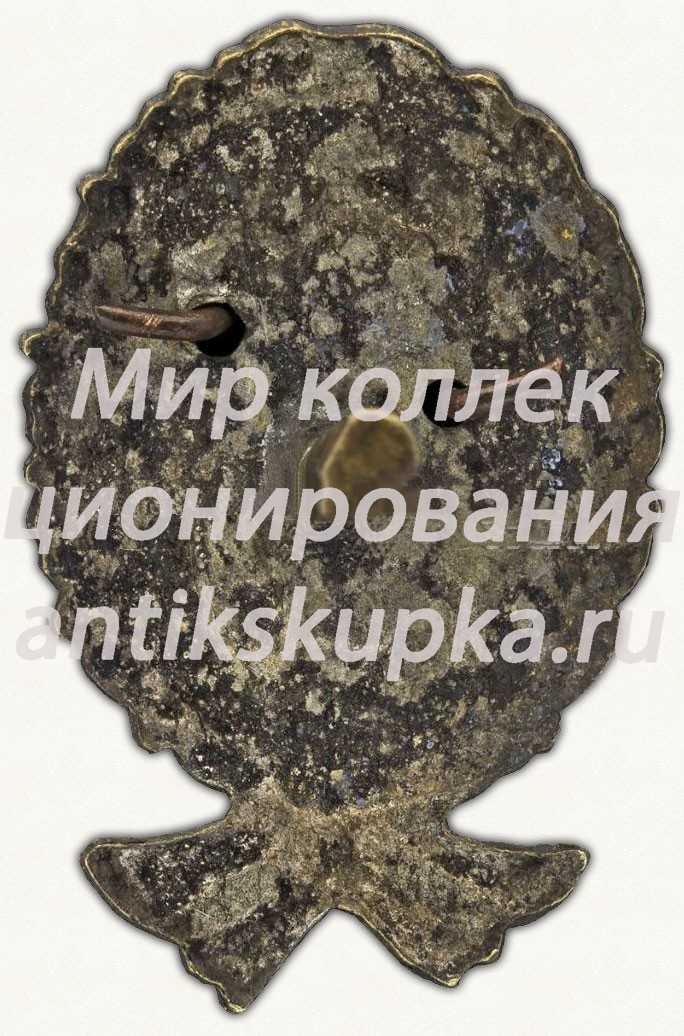 Знак командира Рабоче-крестьянской Красной Армии. Тип 13 Знак командира Рабоче-крестьянской Красной Армии. Тип 13