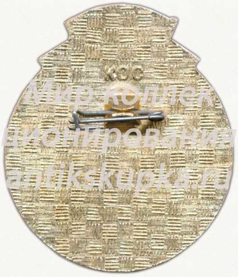 Знак «Комсомольский отряд «Родная земля». ВЛКСМ» Знак «Комсомольский отряд «Родная земля». ВЛКСМ»