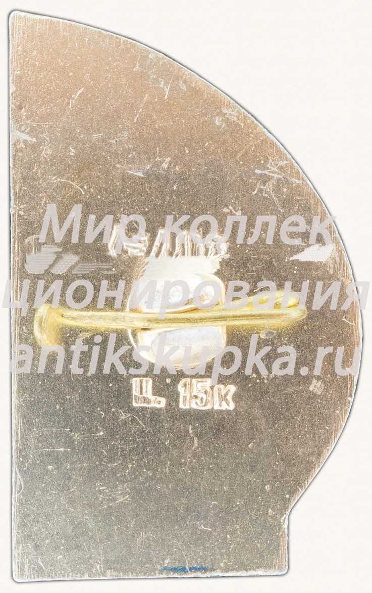 Знак «Космодром Байконур» Знак «Космодром Байконур»