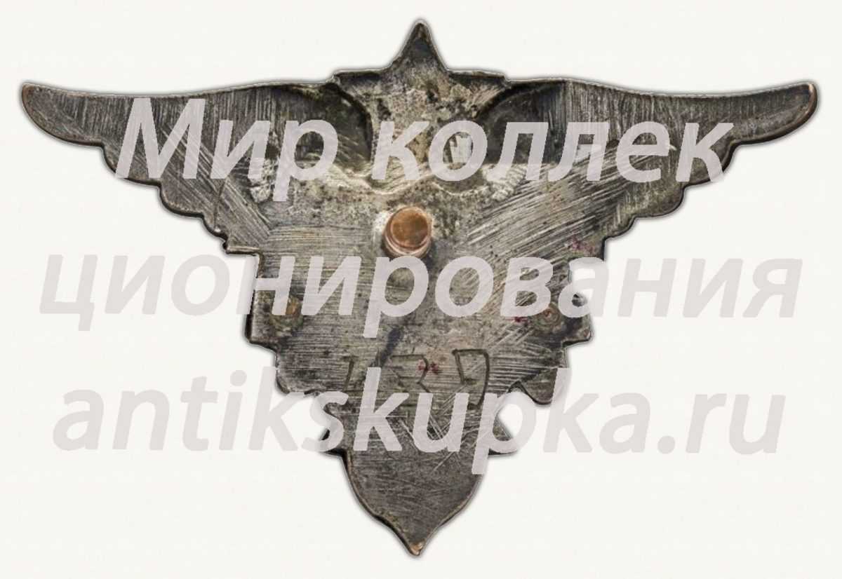 Знак «Курсы усовершенствования технического состава ВВС» 2 Знак «Курсы усовершенствования технического состава ВВС» 2