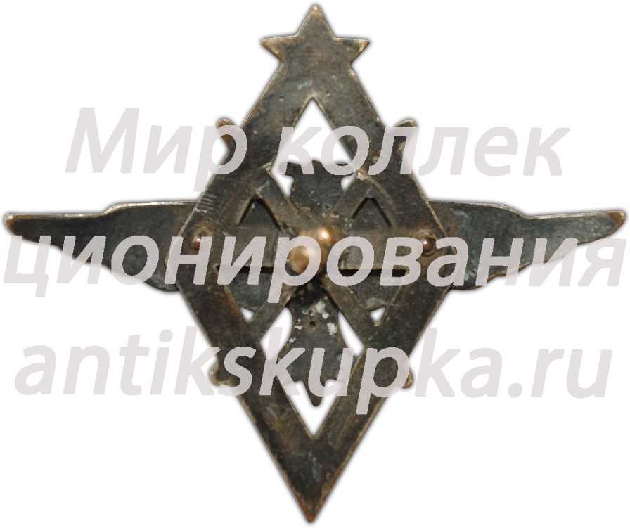 Знак «Летчик военных авиационных училищ ВВС РККА» Знак «Летчик военных авиационных училищ ВВС РККА»