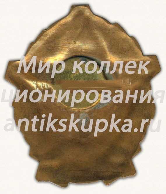 Знак «ЛВВИСУ СНИО. 1979» Знак «ЛВВИСУ СНИО. 1979»