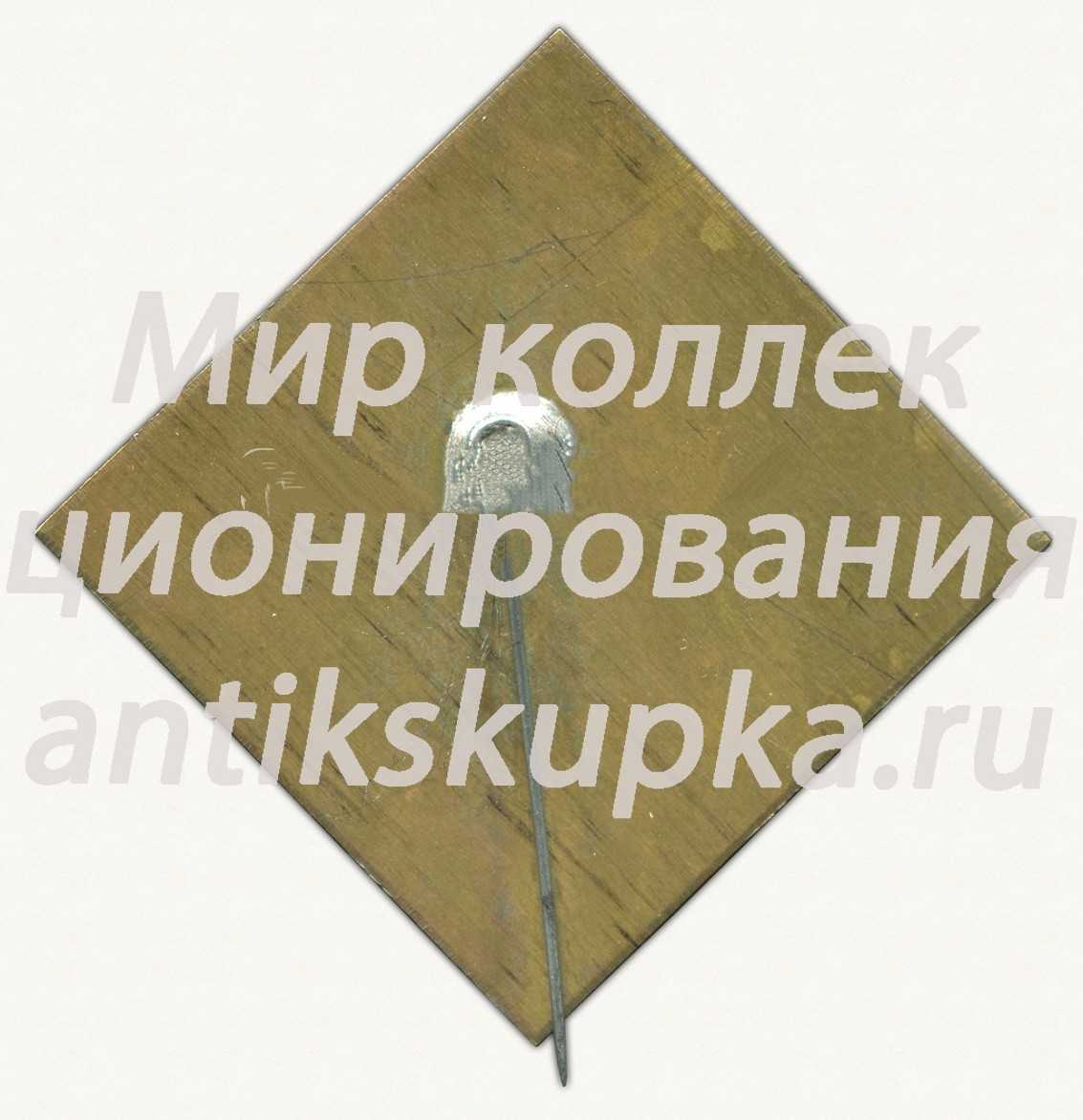 Знак «Молодому изберателю. 4.05.1979. Выборы в верховный совет СССР» Знак «Молодому изберателю. 4.05.1979. Выборы в верховный совет СССР»