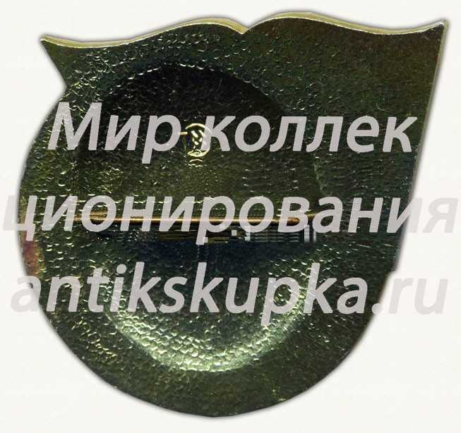 Знак «Областной слет студенческих отрядов. Тула. 1980» Знак «Областной слет студенческих отрядов. Тула. 1980»