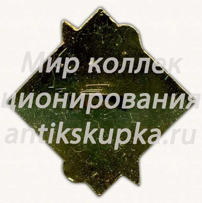 Знак «Областной студенческий отряд. Ташкент» Знак «Областной студенческий отряд. Ташкент»