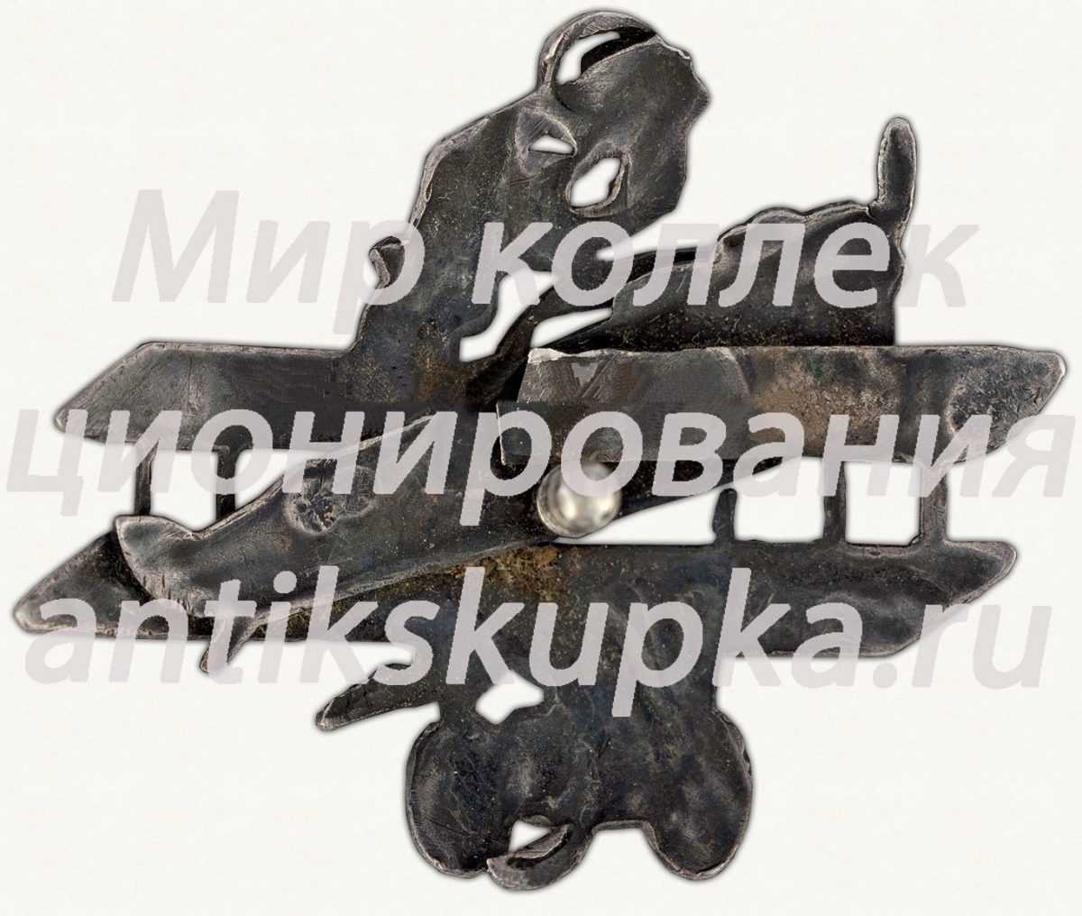 Знак «Общества друзей воздушного флота (ОДВФ) северо-западной области» 4 Знак «Общества друзей воздушного флота (ОДВФ) северо-западной области» 4