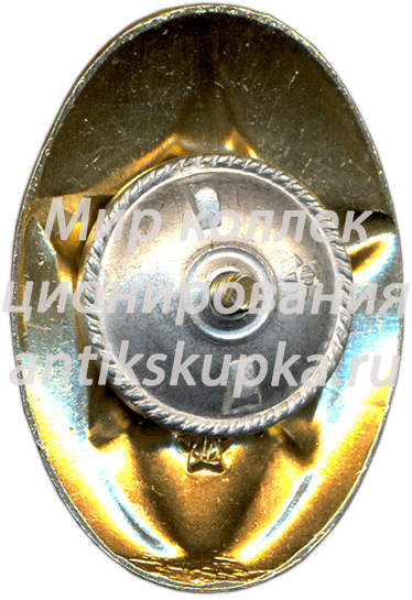 Знак «Отличник пожарной охраны» Знак «Отличник пожарной охраны»