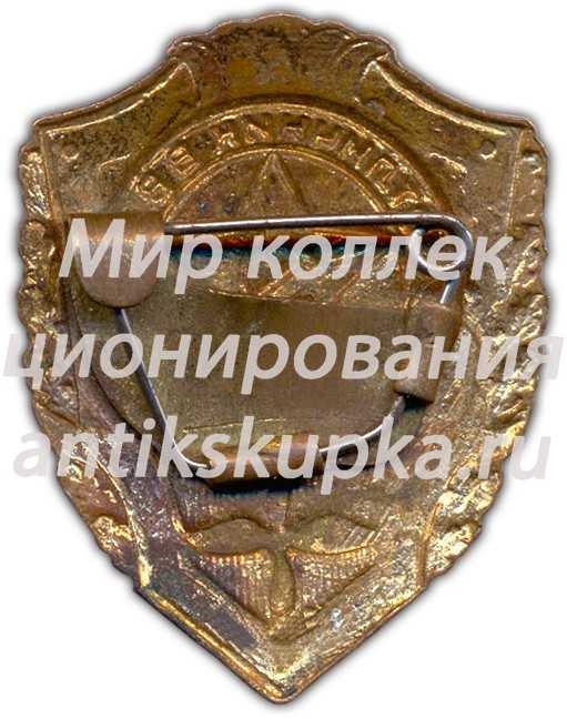 Знак «Отличник ВВС» Знак «Отличник ВВС»