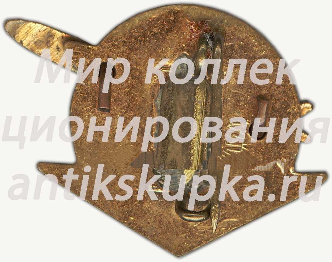 Знак «Пассажирский самолет «Ту-124». Аэрофлот» Знак «Пассажирский самолет «Ту-124». Аэрофлот»
