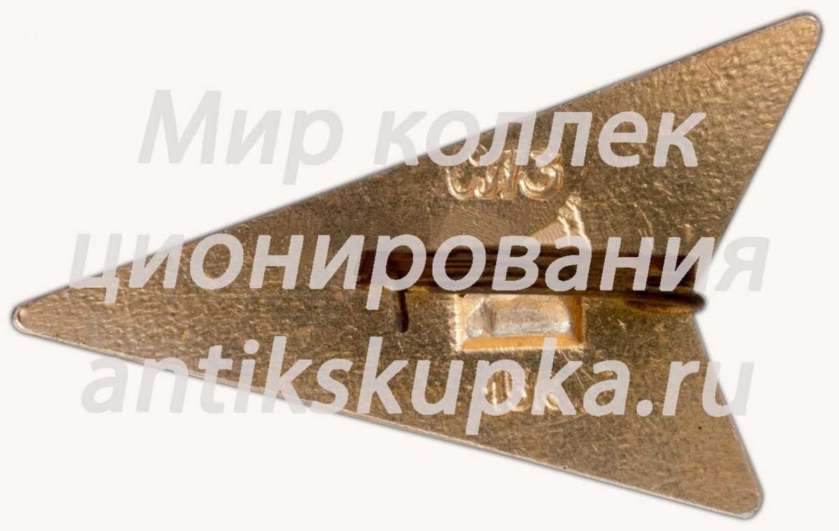 Знак «Пассажирский самолет «Ту-134». Аэрофлот. Тип 3» 2 Знак «Пассажирский самолет «Ту-134». Аэрофлот. Тип 3» 2