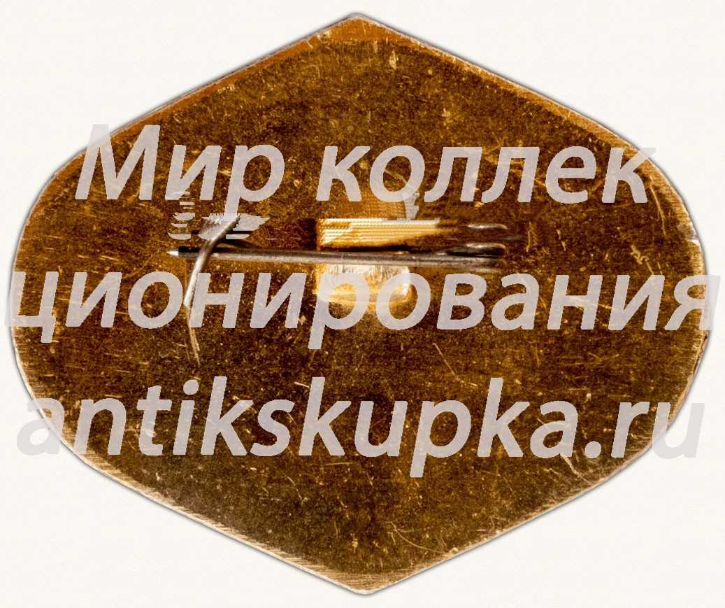 Знак ««Пересекшему экватор». Аэрофлот» 2 Знак ««Пересекшему экватор». Аэрофлот» 2