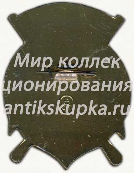 Знак «Первенство Военно-морских учебных заведений (ВМУЗ). Чемпион. Водное поло» Знак «Первенство Военно-морских учебных заведений (ВМУЗ). Чемпион. Водное поло»