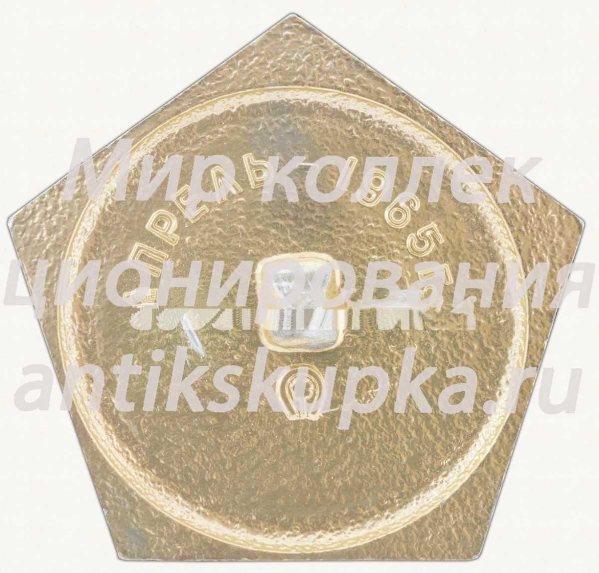 Знак «Первый советский спутник связи - «Молния-1». Апрель - 1965 г.» Знак «Первый советский спутник связи - «Молния-1». Апрель - 1965 г.»