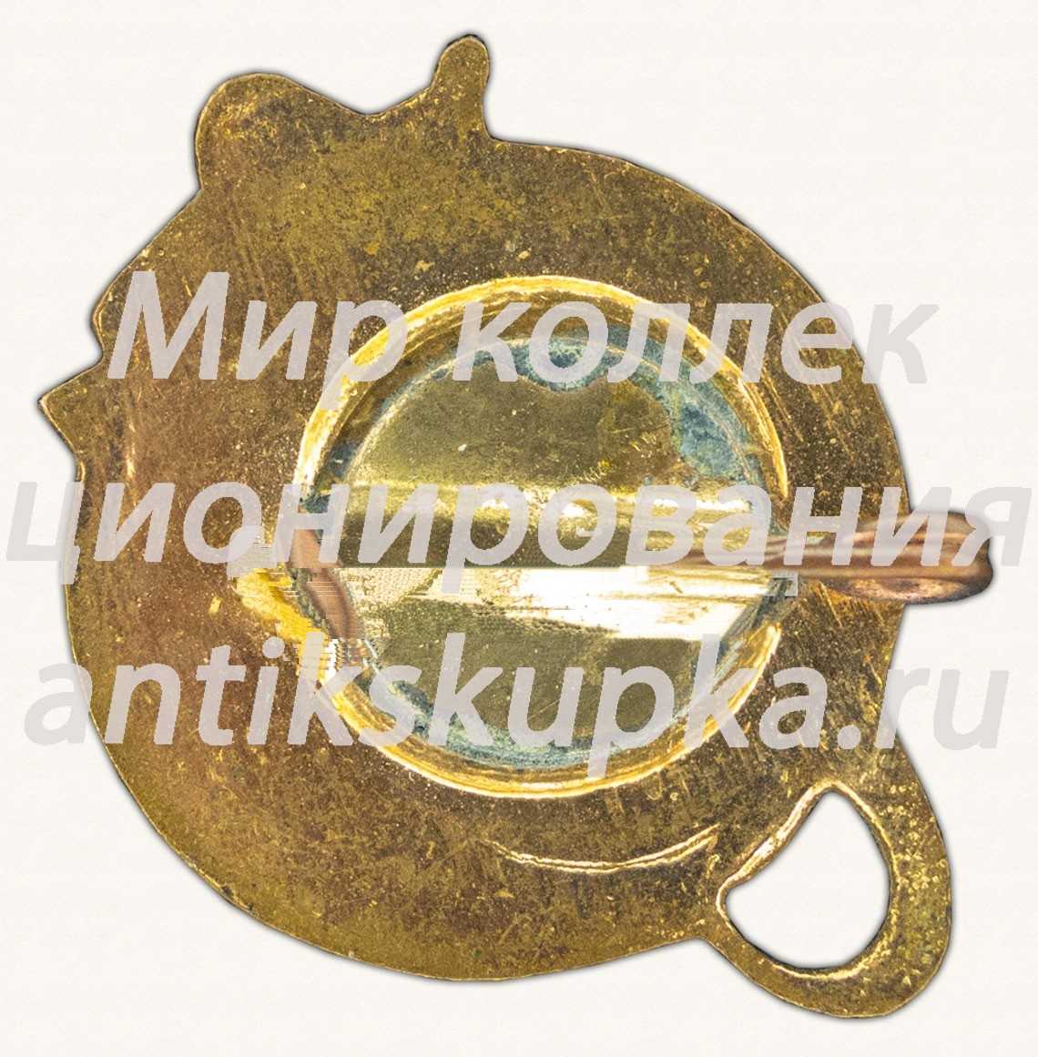 Знак «Первый советский спутник земли» Знак «Первый советский спутник земли»