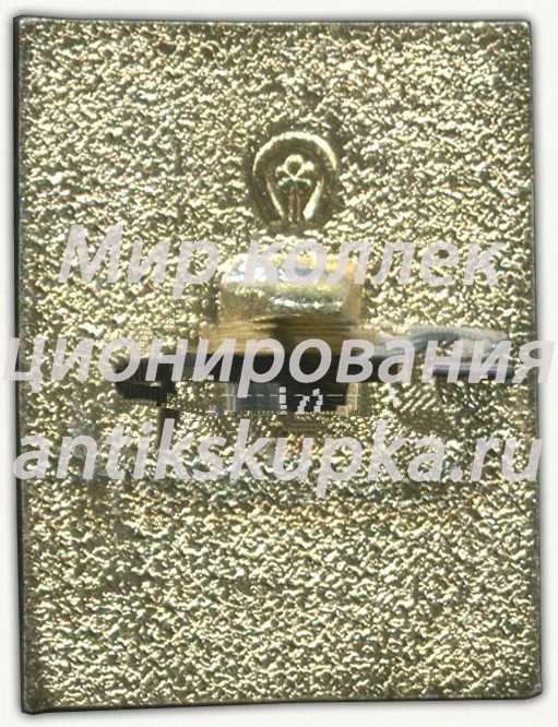 Знак «Пионерский лагерь «Березка»» Знак «Пионерский лагерь «Березка»»