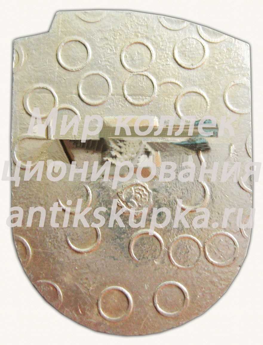 Знак «Пионерский лагерь ЦК ЛКСМУ «Молодая гвардия»» Знак «Пионерский лагерь ЦК ЛКСМУ «Молодая гвардия»»