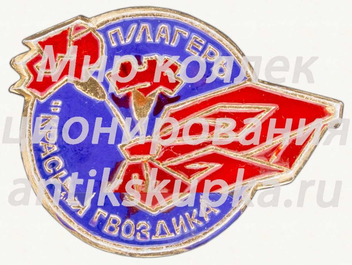 Знак «Пионерский лагерь «Красная гвоздика»» Знак «Пионерский лагерь «Красная гвоздика»»