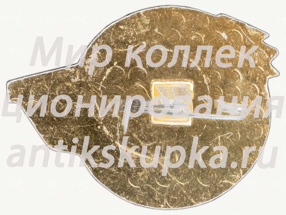 Знак «Пионерский лагерь «Красная гвоздика»» Знак «Пионерский лагерь «Красная гвоздика»»