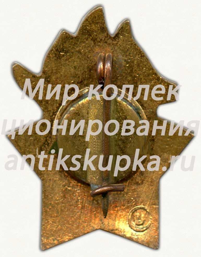 Знак пионерского лагеря «Орлёнок» Знак пионерского лагеря «Орлёнок»