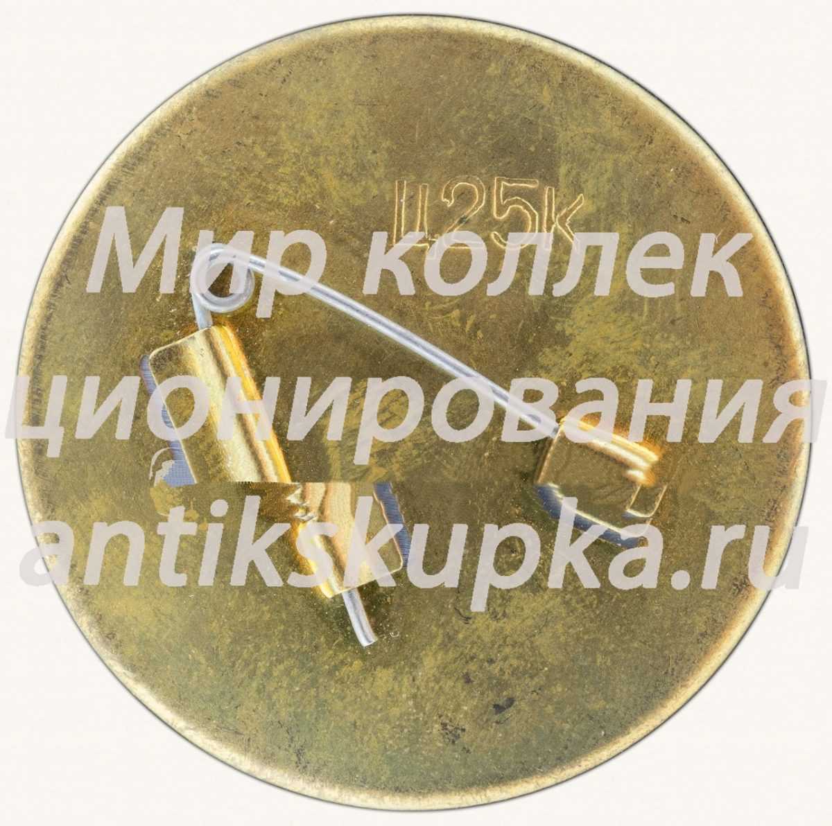Знак «Пятилетке ударный труд. Межрегиональный студенческий строительный отряд (МССО). 74» Знак «Пятилетке ударный труд. Межрегиональный студенческий строительный отряд (МССО). 74»