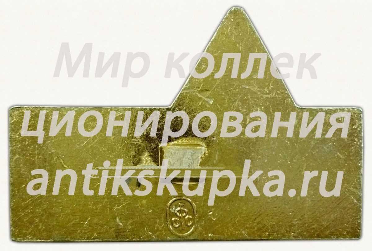 Знак «Санитарный инструктор студенческого отряда» Знак «Санитарный инструктор студенческого отряда»