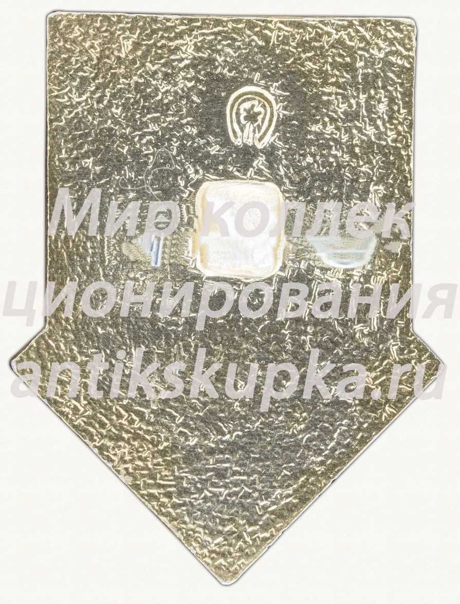 Знак серии «Советская пионерия». 60 лет пионерской организации (1922-1982). «Книга» Знак серии «Советская пионерия». 60 лет пионерской организации (1922-1982). «Книга»