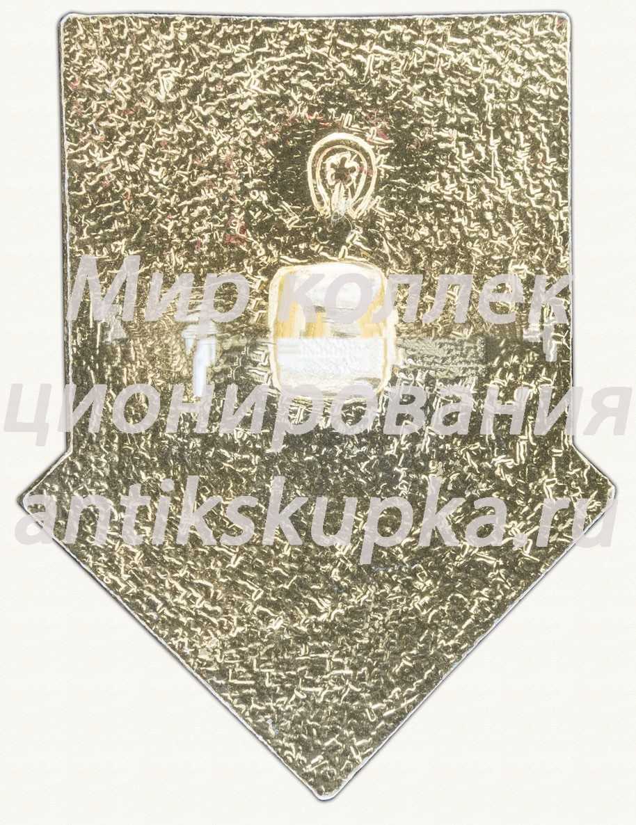 Знак серии «Советская пионерия». 60 лет пионерской организации (1922-1982). «Звезда» Знак серии «Советская пионерия». 60 лет пионерской организации (1922-1982). «Звезда»