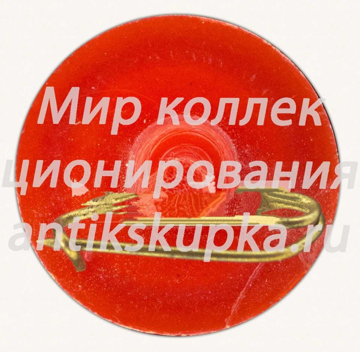 Знак «Советский летчик-космонавт Ю.А.Гагарин» Знак «Советский летчик-космонавт Ю.А.Гагарин»